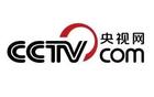 足协辟谣“佛得角邀赛遭拒”
