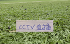 中超第21轮预告 周末河南VS大连英博 海港VS山东比赛都有央视直播